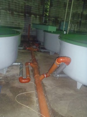 как регулируют воду в бассейне.JPG